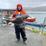 Halibut